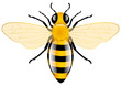 Honey Bee Honey Bee