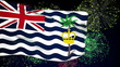 British Indian Ocean Territory flag . Fireworks background. British Indian Ocean Territory flag . Fireworks background.