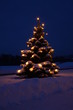 weihnachtsbaum beleuchtet