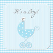 Baby boy arrival announcement card
