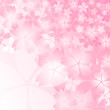 桜の背景