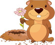 Groundhog holding a first flower