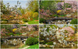 Foto: der frühling ist da der frühling ist da