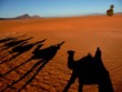 Caravan in Morocco