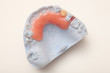 Zahn Model - Mandible model