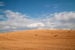 Golden hay bales in Tuscany, Italy