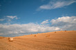 Golden hay bales in Tuscany, Italy