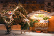 Christmas Market in Litomerice, Czech Republic Christmas Market in Litomerice, Czech Republic
