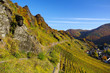 Herbst im Ahrtal