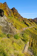 Herbst im Ahrtal