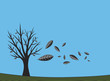 tree in autumn wind