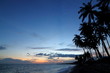 Tropical Paradise Silhouette