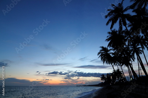 Photo: Tropical Paradise Silhouette Tropical Paradise Silhouette