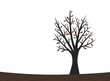 Tree illustration