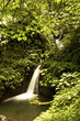 Beautiful waterfall in central america