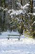 parc sous la neige