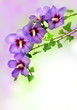 floral border