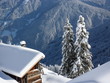 Brennholz bei der Hütte im Schnee Brennholz bei der Hütte im Schnee