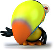 Toucan