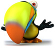 Toucan