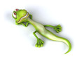 Lézard