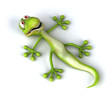 Lézard
