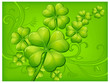 Clover bacground