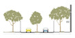 Avenida