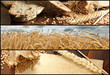 Banners - Wheat and Bread Banners - Wheat and Bread