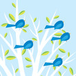 Blue birds