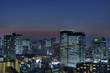 東京夜景