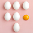 Eggs Eggs
