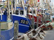 Kutterhafen Frierichskoog Kutterhafen Frierichskoog