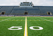 Fifty Yard Line with Bleachers