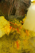 Kristalle aus Schwefel in Schwefelmine von Vulkan Ijen