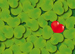 Treffle_Coeur1