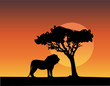 africa safari silhouettes of lion - vector