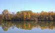 Golden trees in autumn reflected in a calm river