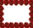 roses frame
