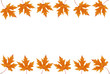leafs frame