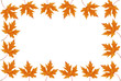 leafs frame