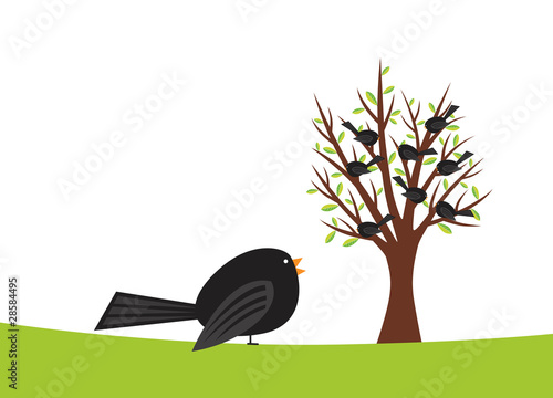 Illustration: Black birds Black birds