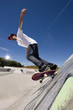 Skateboarder