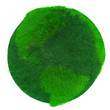 Green Earth, covered with grass