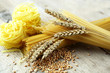 Pasta and grains of wheat