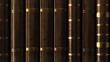OLD LIBRARY slow motion OLD LIBRARY slow motion