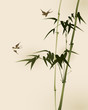bamboo branches, vectorized oriental style painting