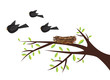 Birds leaving nest