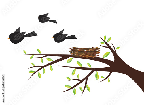 Illustration: Birds leaving nest Birds leaving nest