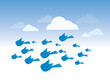 flock of birds